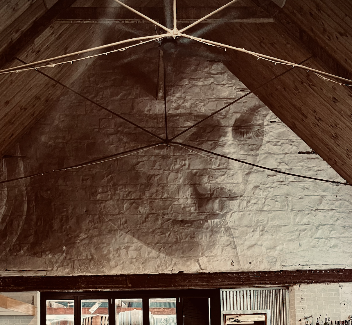 Famous painting by artist @r_o_n_e within the Fyansford PaperMills, this artwork is situated within the Fyansford Paper Mills precinct, the artwork is of a sad girl